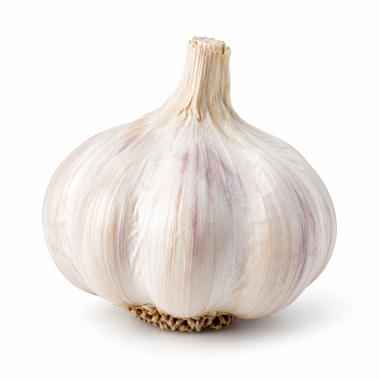 Ajo
