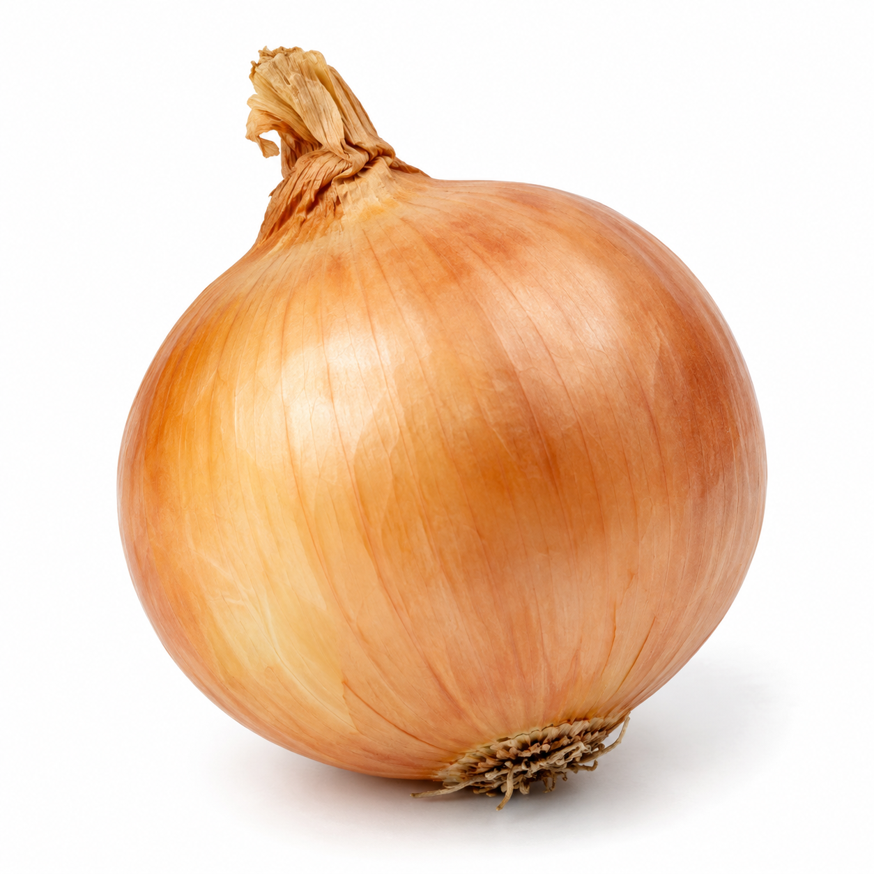Cebolla