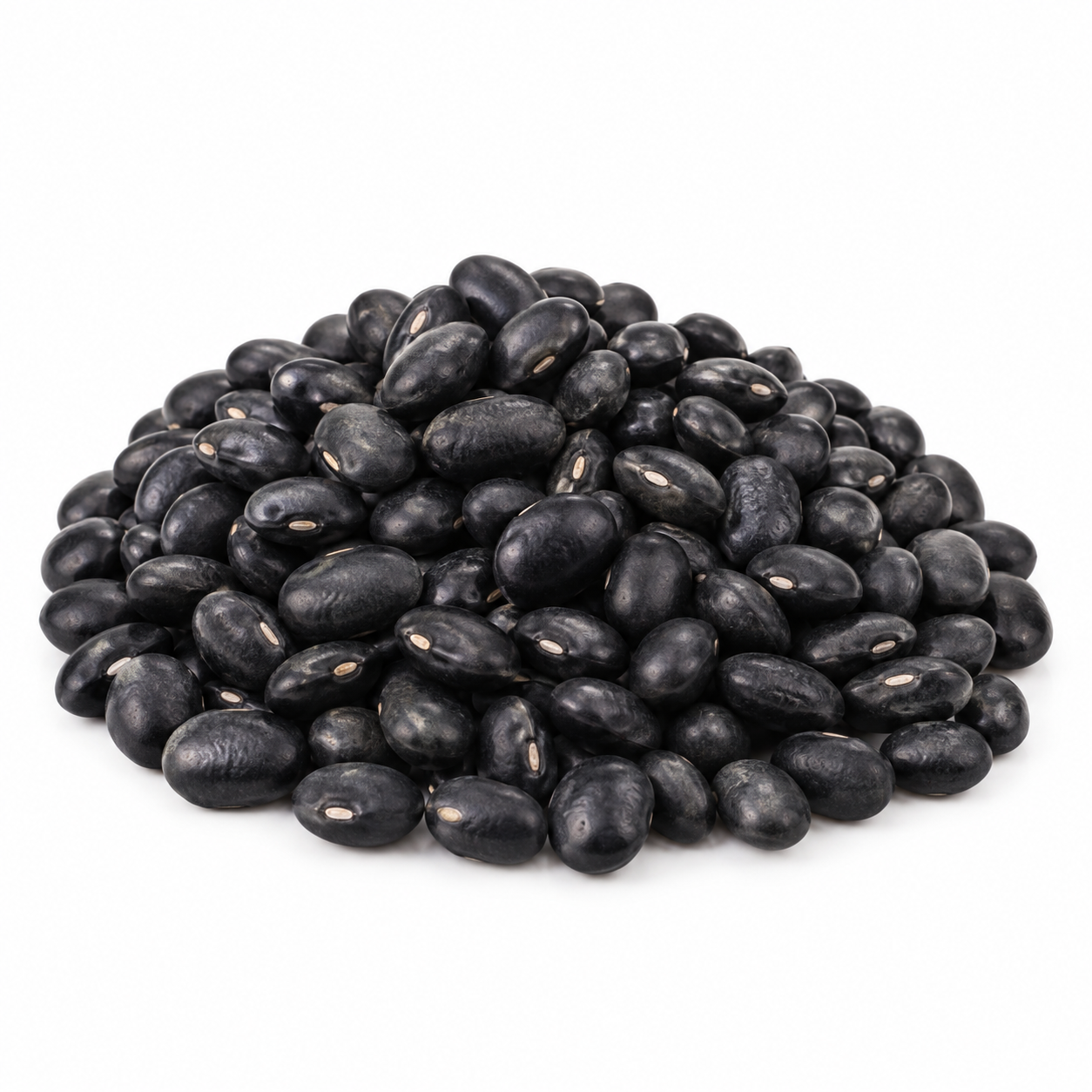 Frijol negro